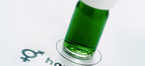 Green Hormones Tube - Chris Byrnes LLC