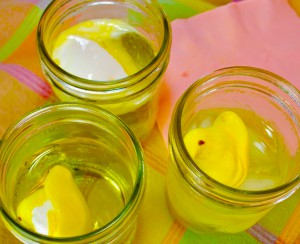 ChrisByrnes.com - Marshmallow Peep Experiments 2016